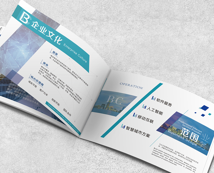 畫(huà)冊設計 畫(huà)冊設計